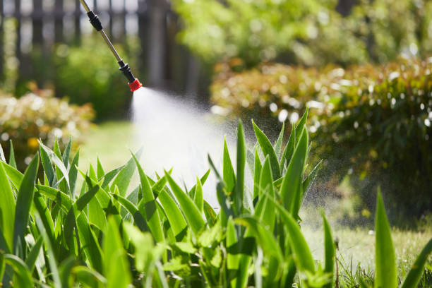 24/7 Emergency Ant Control experts in Washington Park, FL